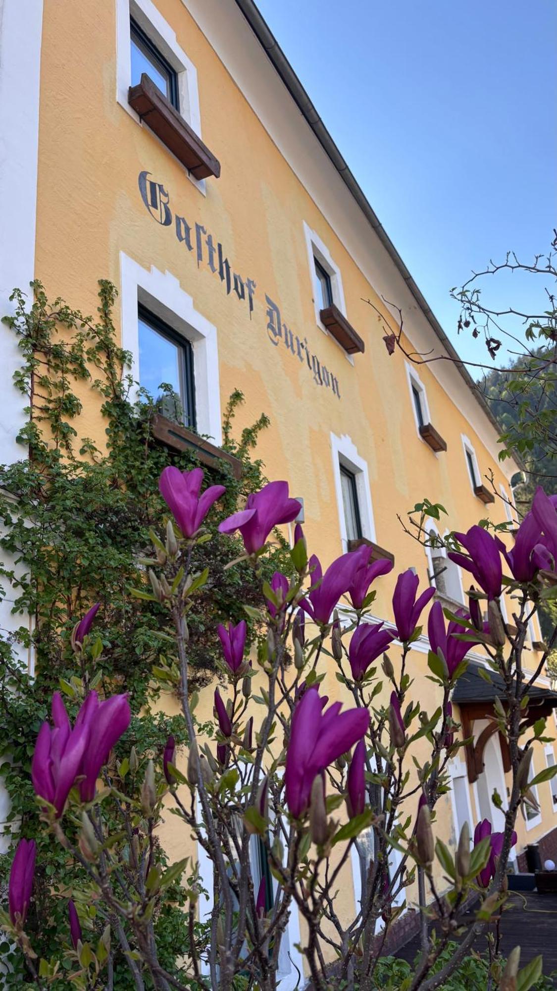 Gasthof Durigon Ramingstein Εξωτερικό φωτογραφία